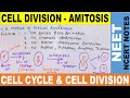 Amitosis Cell Division in Hindi | Direct Cell Division | Cell Cycle & Cell Division | NEET 2020