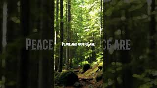 Peace and justice #quotes #motivation #ps #peace #justice