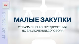 Малые закупки от размещения предложения до заключения договора (02.06.2023)