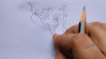 NCERT 10: HOW TO DRAW NEPHRON STEP BY STEP