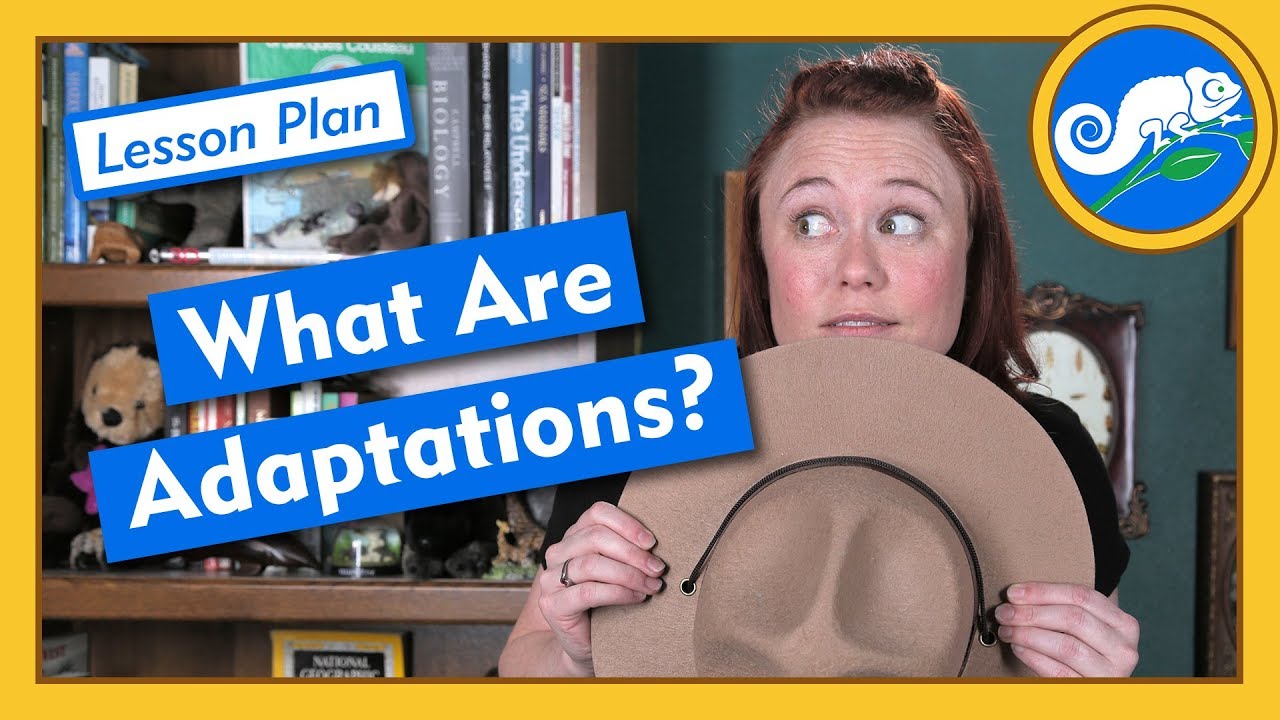 ⁣What Are Adaptations? - Lesson Plan