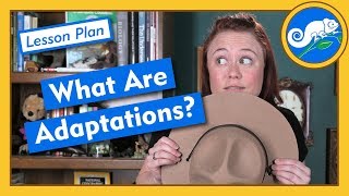 What Are Adaptations?  Lesson Plan