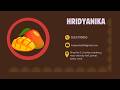 “How Premium Kesar Mangoes Are Processed | Step-by-Step”