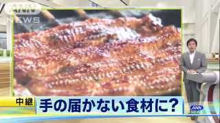 うなぎ今後どうなる・・・　養殖業者を届け出制へ(14/07/29)