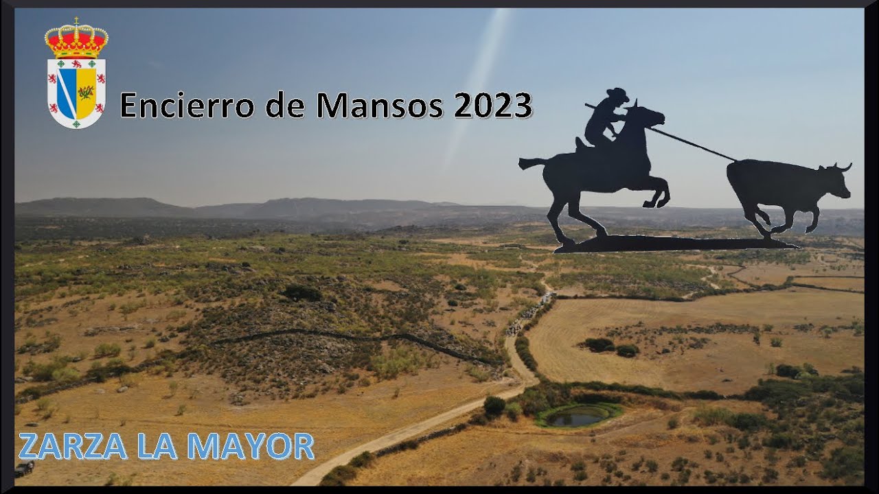 Zarza la Mayor, encierro de mansos. Agosto 2023