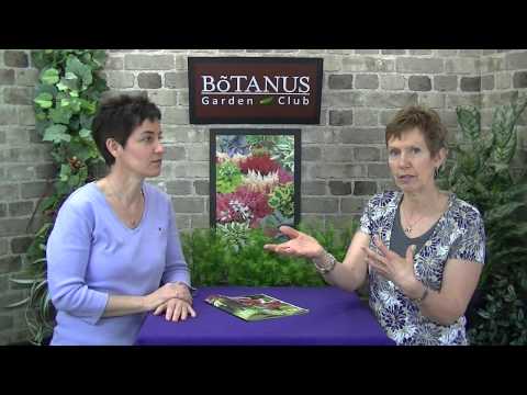 Видео: Браунинг Астилбын ургамал - Миний Астилб яагаад өнгөө өөрчилдөг вэ?