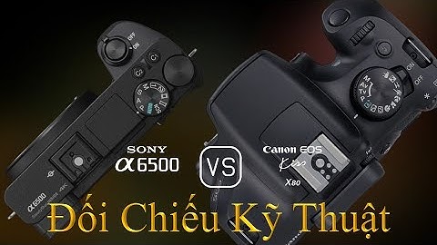 So sánh các đời máy ảnh canon vs sony năm 2024