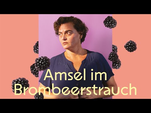 Amsel im Brombeerstrauch - offizieller Trailer zum Film OmU