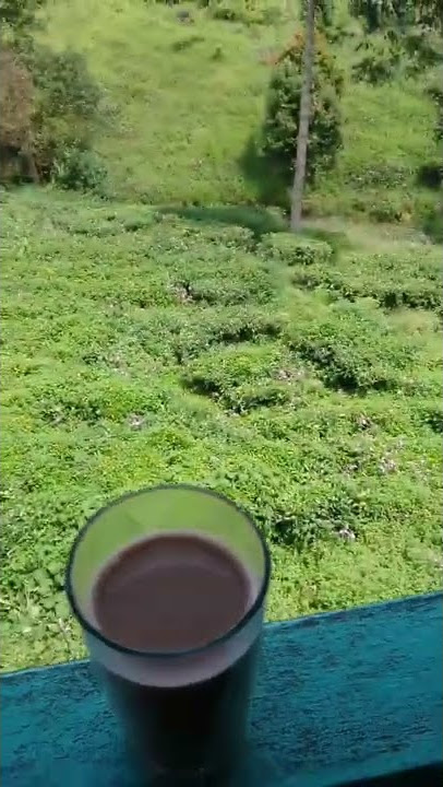 NGOPI SAMBIL MENIKMATI UDARA PUNCAK BOGOR | HALU STORY #shorts #storyhalu #storyig #storywa