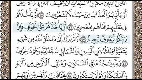 سورة النحل الصفحة 272 الشيخ محمد صديق المنشاوي