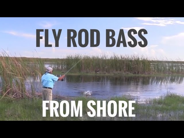 Fly Rod Bass from shore 