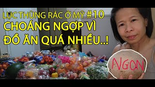 #10- LƯỢM ĐƯỢC NHIỀU ĐỒ ĂN NHẤT TỪ TRƯỚC ĐẾN | LỤC THÙNG RÁC Ở MỸ | DUMPSTER DIVING IN AMERICA