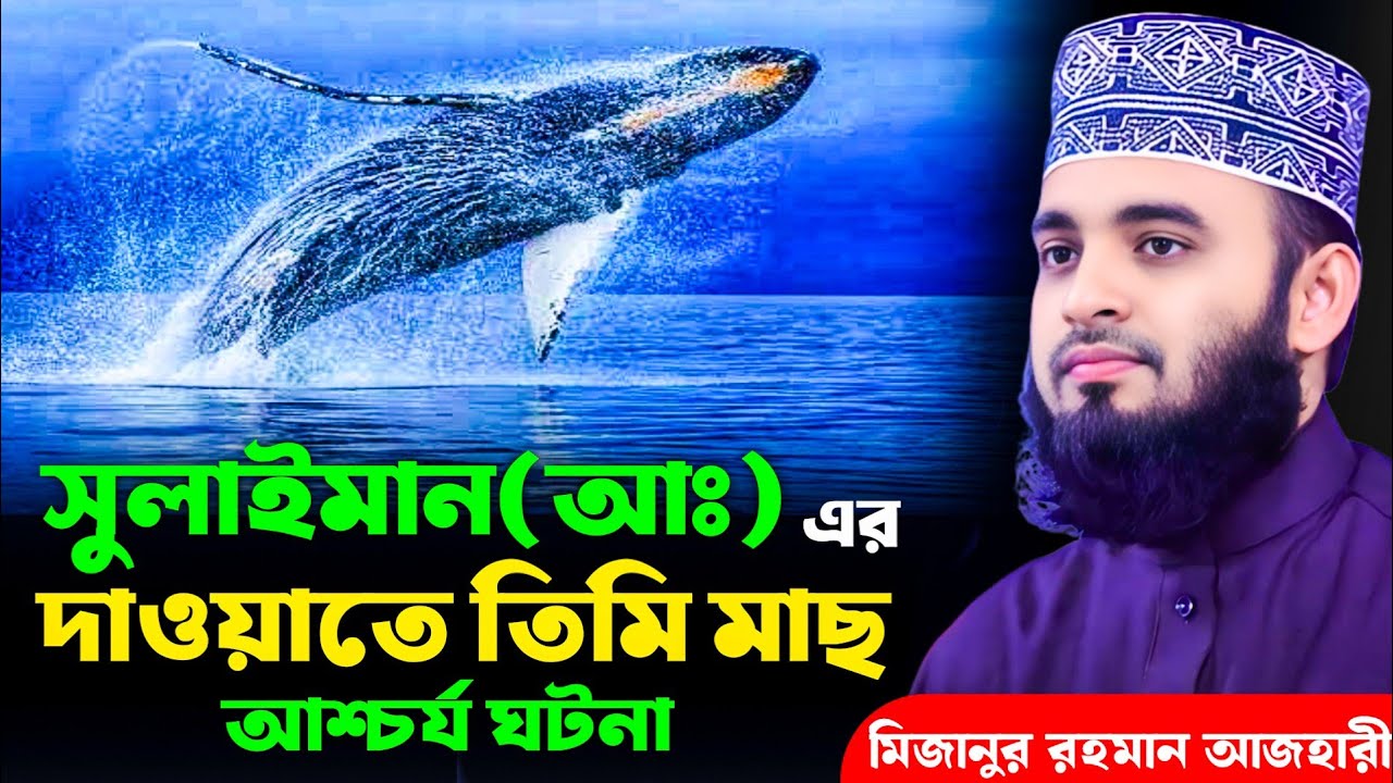 সুলাইমান(আঃ)এর অবাক ঘটনা | মিজানুর রহমান আজহারী | Mizanur Rahman Azhari, waz, new waz, bangla waz
