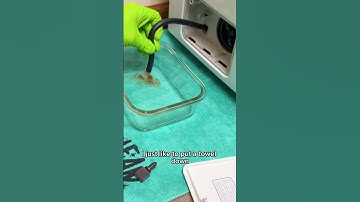 How to Clean Your Washing Machine’s Filter and Drain #washingmachine #cleaning #cleaningtips