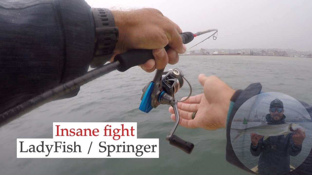 Day of Havoc Dropshot Fishing for SPRINGER/LADYFISH in Durban Harbour ...