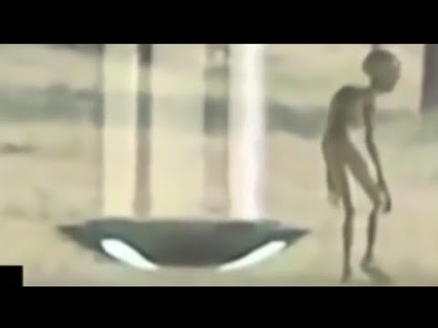 10 Mysterious Giant Creatures Caught on Tape