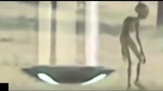 10 Mysterious Giant Creatures Caught On Tape