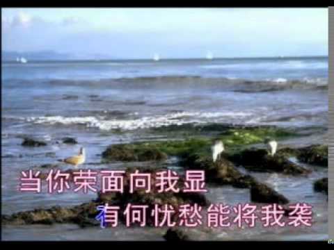 # 选本诗歌 172耶稣我今撇下所有 ⭐ 基督教诗歌 （经典古典诗歌） #选本 ✝️基督教资料下载见下方链接⬇️ | 赞美诗