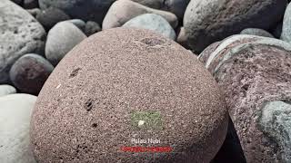 PULAU NUBI-EKSKLUSIF TAPOBALI (I)