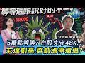 台股高檔震盪與第四季投資布局
