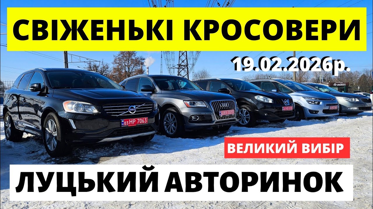 СВІЖІ КРОСОВЕРИ НА ЛУЦЬКОМУ АВТОРИНКУ // 19.02.26 #автопідбірлуцьк #автопідключ #авториноклуцьк #q5
