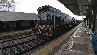 Tren cargas Ferrosur Roca "Tolvas Hopper Holcim" GT22 9006 por Estacion Pacheco 🧱