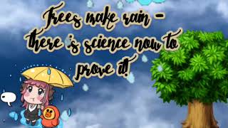 🌲Trees make rain - there is science now to prove it!How trees make rain💦