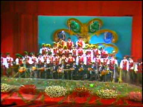Actuación de Los corsarios en la final del COAC 1981