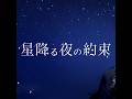 (offvocal)花耶(KAYA) / 星降る夜の約束 リアルカラオケ(Instrumental) アニメ「領民0人スタートの辺境領主様」ED Key B 102bpm