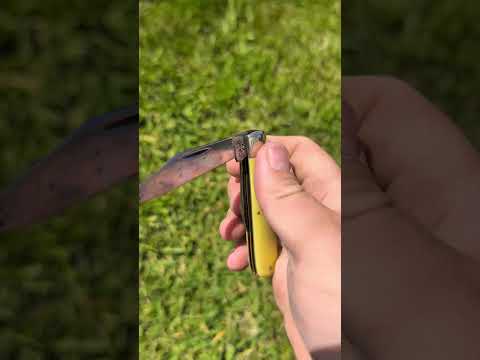 Case Jack Pocket Knife ASMR  