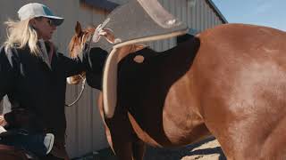 Classic Equine Shock Pad