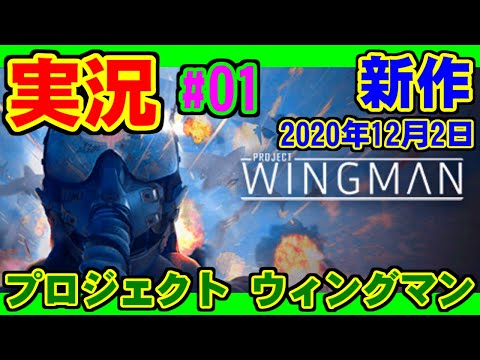 [実況] M00-01(黒い旗) - Project Wingman [新作]