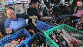 Tourists Rarely See This Filipino Fishing Village Trading U0026  Bagsakan 