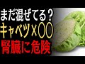 キャベツの食べ方に注意|腎臓の負担になりやすいとされる食べ合わせ4選