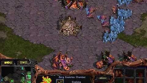 Starcraft Brood War Z vs T in Python 1.3