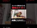 スーパーで購入した毛ガニを飼育してみると…