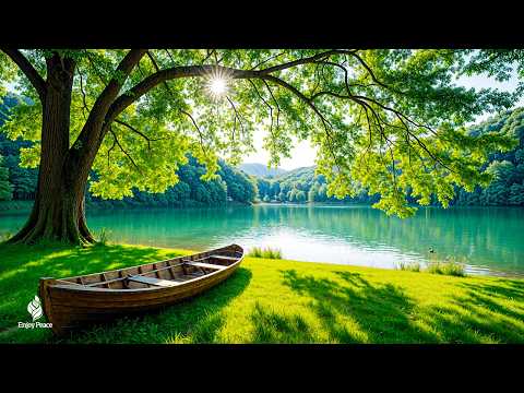 Restore your nervous system 🌿 Stop overthinking, music to relieve stress