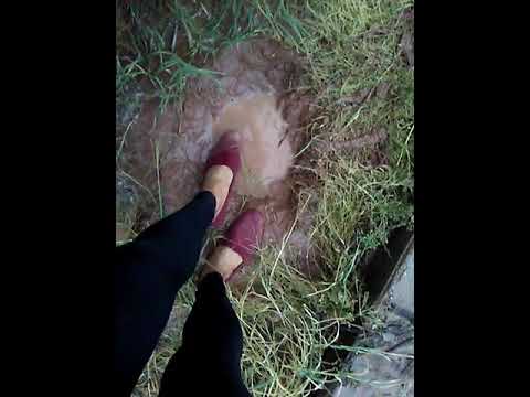 Tom's slippers in the mud.