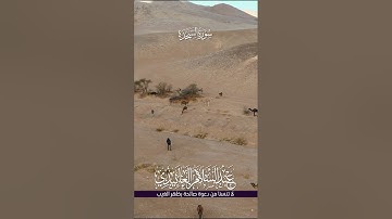 سورة السجدة 26 9 2025 للشيخ عبد السلام العابيدي حفظه الله 