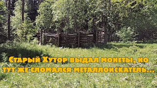 На лесном хуторе Монеты шли одна за одной как вдруг...