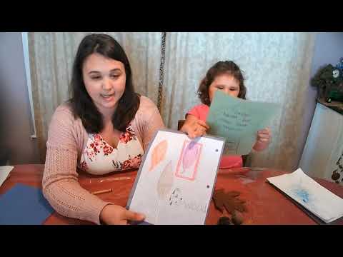 Capa de Leaf Activities