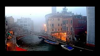 Venice Early Morning Fog Soaring Seagulls