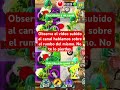 ”¡Superando el Nivel 50! 🎉 Mira el Video en mi Canal | PvZ 2”#pvz2challenge #plantsvszombies #pvz2