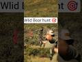 Wild Boar 🐗Encounter | Best Hunting Scene #wildboar #hunting🎯 #boarhunting #closeshot #wildlife 😱