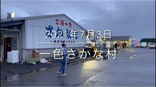 【梅雨被害】1杯100円で蟹を販売!?『一色さかな村』の現状