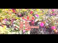苹果香 黑大婶回乡带娃 主唱 KARAOKE 苹果香 黑大婶回乡带娃 主唱 KARAOKE