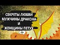 Совместимость мужчина Дракон и женщина Петух