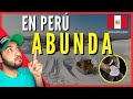 En PERÚ ABUNDA el LITIO (Nuevo ORO BLANCO)