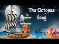 Octopus: The Curious Creature