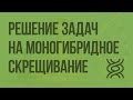 Решение генетических задач на моногибридное скрещивание. Видеоурок по биологии 10 класс